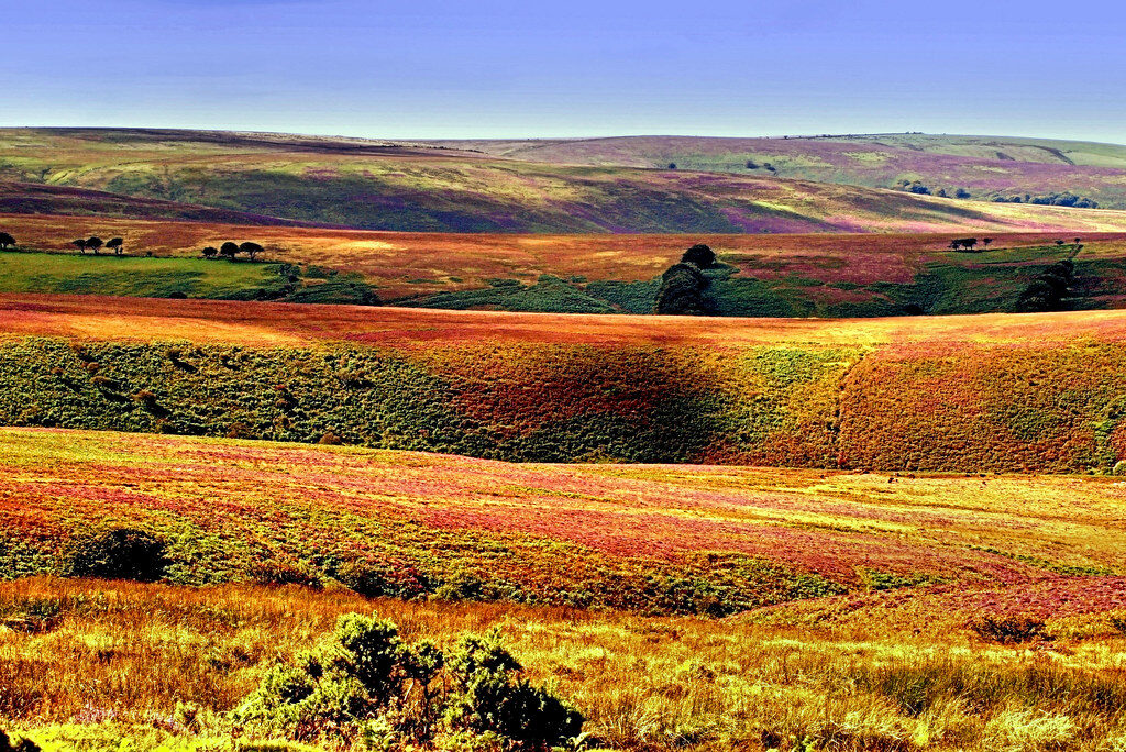 green leaf coconut trees on beach during daytime