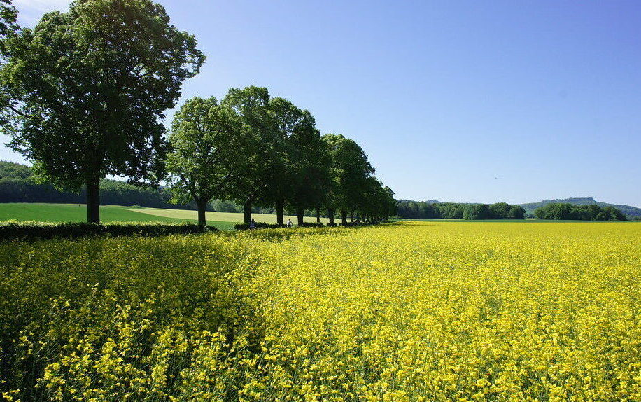 a red house sitting on top of a grass covered hill